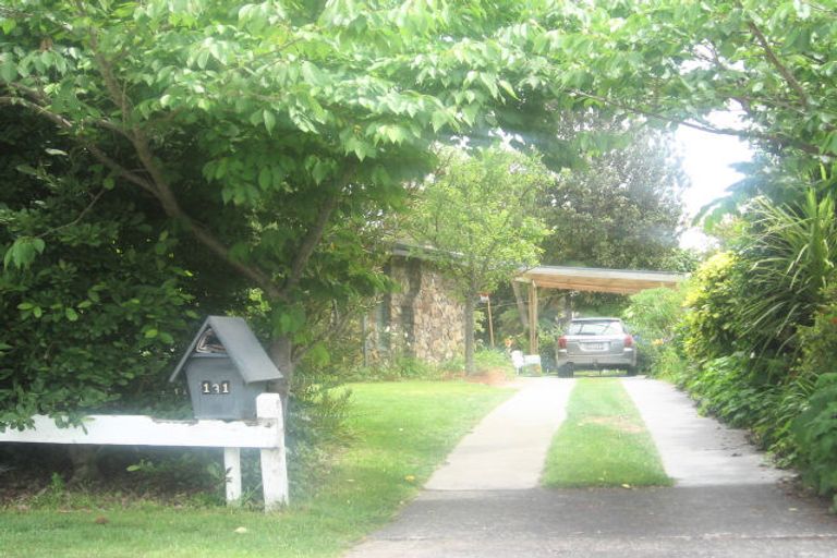 Photo of property in 131 Boucher Avenue, Te Puke, 3119