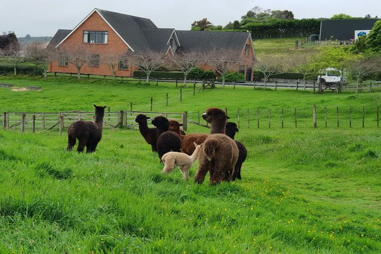 Photo of property in 600 Ponga Road, Opaheke, Papakura, 2584