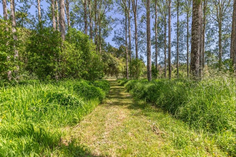 Photo of property in 803 Gladstone Road, Levin, 5571