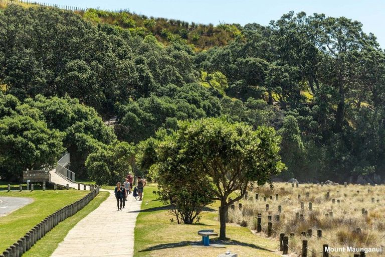 Photo of property in 206/12 Adams Avenue, Mount Maunganui, 3116