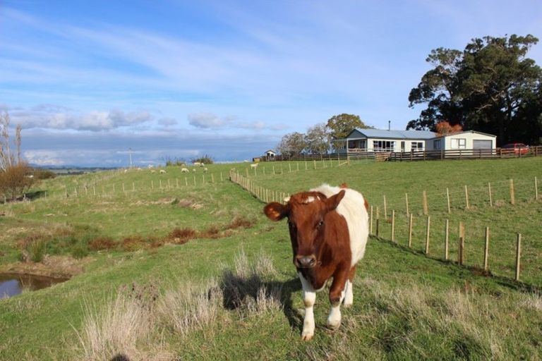 Photo of property in 314 Umutaoroa Road, Dannevirke, 4978