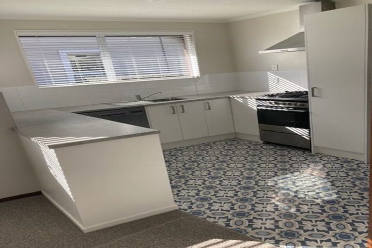 Photo of property in 20 Albert Street, Saint Clair, Dunedin, 9012