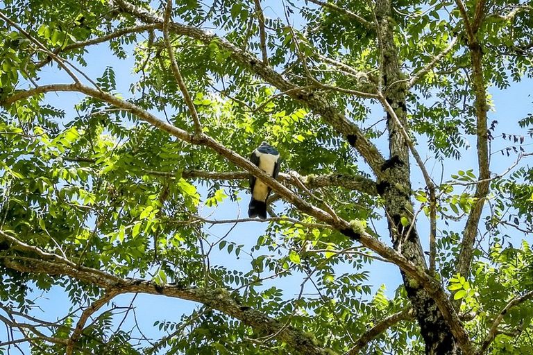 Photo of property in 241 Surrey Hill Road, Kaitake, New Plymouth, 4374