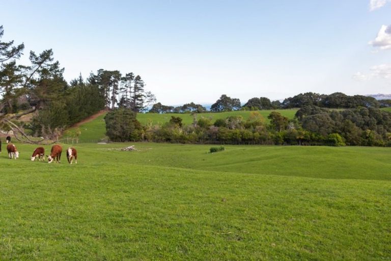 Photo of property in 5 Daisy Burrell Drive, Gulf Harbour, Whangaparaoa, 0930