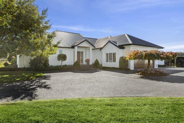 Photo of property in 397 Grasslands Drive, Cambridge, 3493