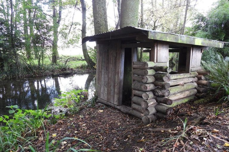 Photo of property in Ashfield, 410 Orari Station Road, Geraldine, 7992