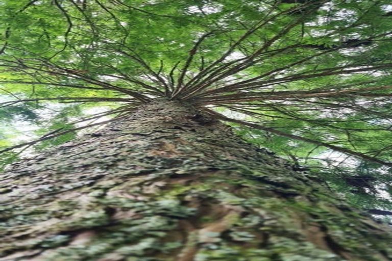 Photo of property in 11 Sanctuary Lane, Tamahere, Hamilton, 3283