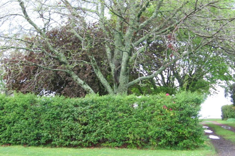 Photo of property in 29 Tamaki Street, Ngongotaha, Rotorua, 3010