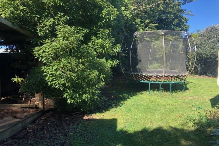 Photo of property in 14 Saxton Street, Levin, 5510