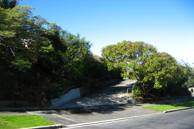 Photo of property in 100 Chapman Street, Wakari, Dunedin, 9010