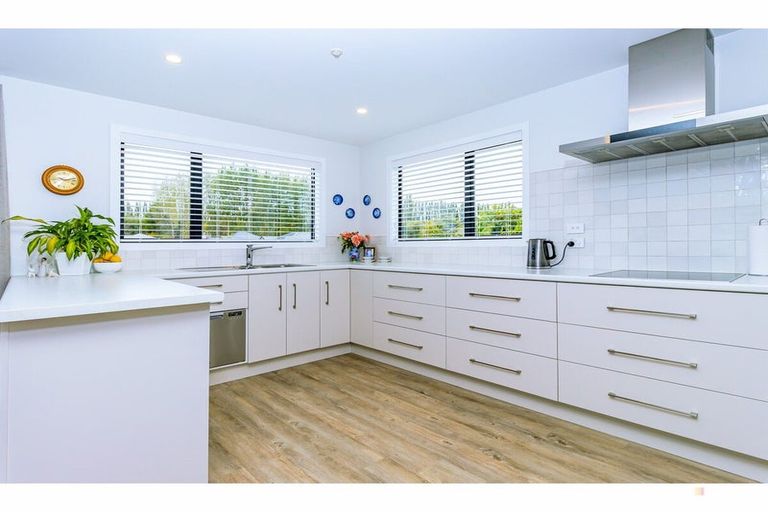 Photo of property in 6 Strawberry Place, Geraldine, 7930