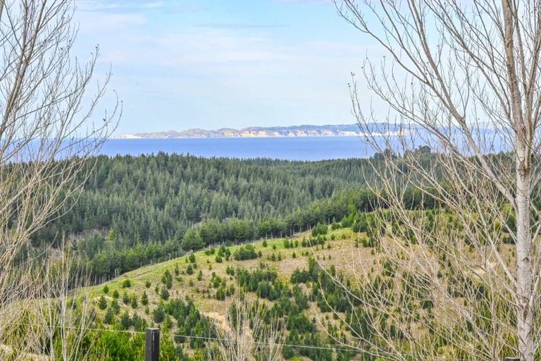 Photo of property in 438 Aropaoanui Road, Tangoio, Napier, 4181