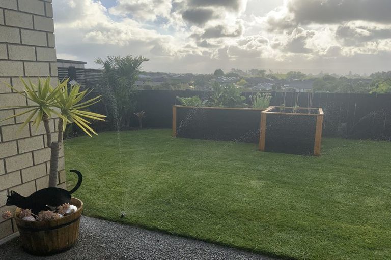 Photo of property in 43 Albero Drive, Ohauiti, Tauranga, 3112