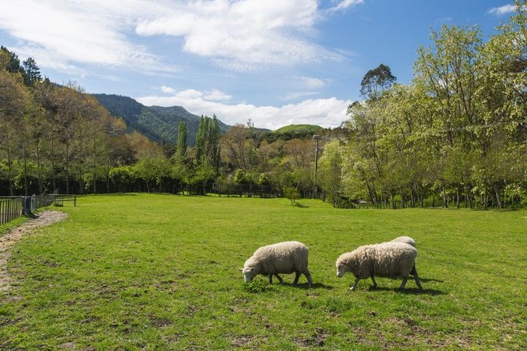 Photo of property in 598 Riverside Road, Matokitoki, Gisborne, 4071