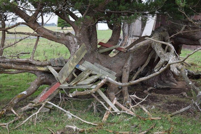 Photo of property in 121 Redmayne Road, Waihopai, Invercargill, 9872