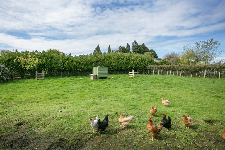 Photo of property in 37a Mangauika Road, Pirongia, Te Awamutu, 3876