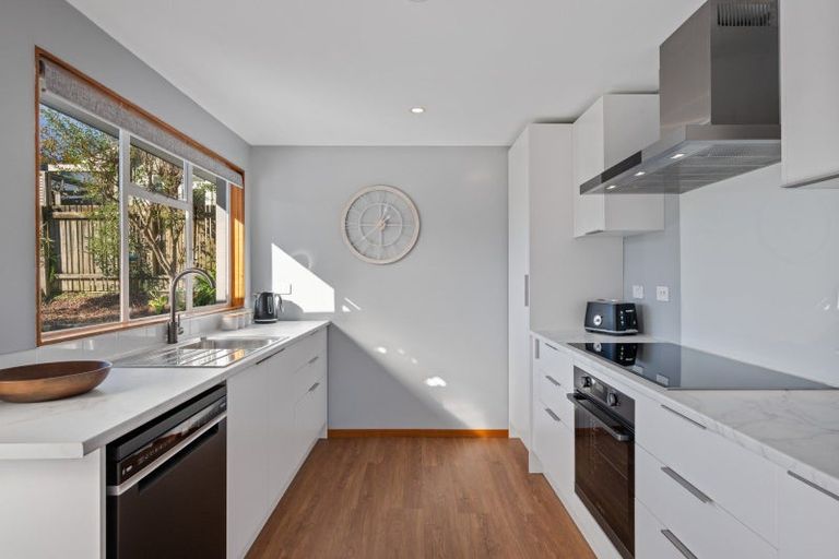 Photo of property in 14 Leicester Street, Picton, 7220