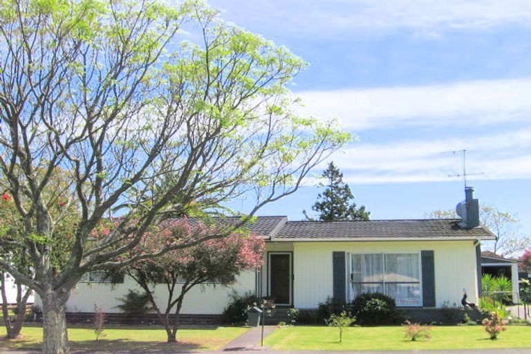 Photo of property in 10 Edward Street, Mangapapa, Gisborne, 4010