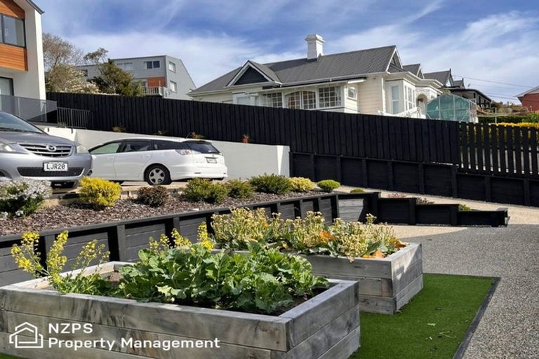 Photo of property in 45e Ann Street, Kaikorai, Dunedin, 9010