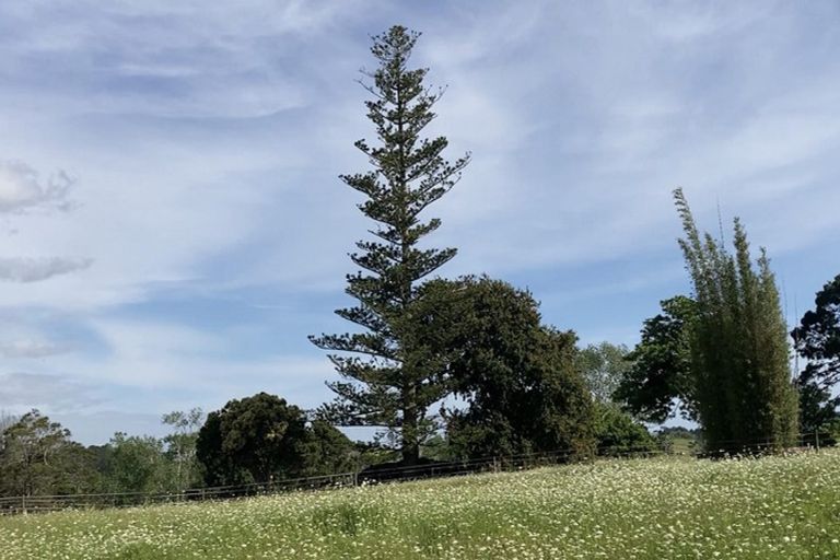 Photo of property in 123 Colville Road, Dargaville, 0377