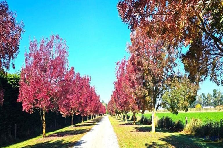 Photo of property in 1/546 Mclaughlins Road, Darfield, 7571