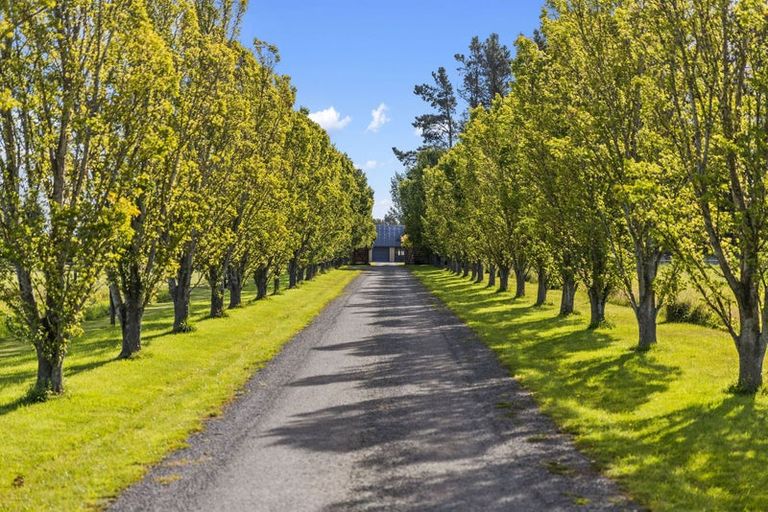 Photo of property in 71 Davis Road, Cust, Rangiora, 7471