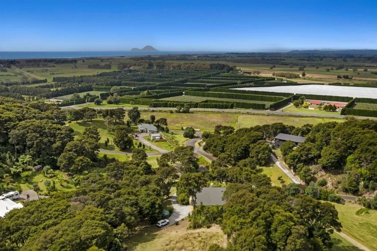 Photo of property in 4 Kereru Lane, Matata, Whakatane, 3194