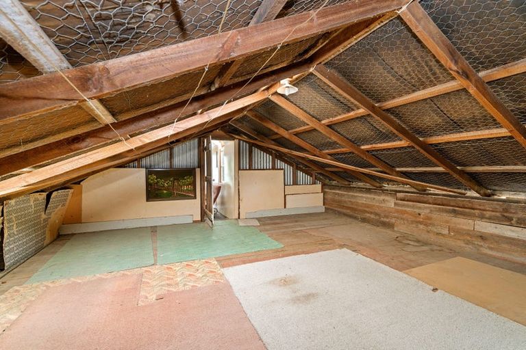 Photo of property in 77 Bruce Road, Levin, 5510