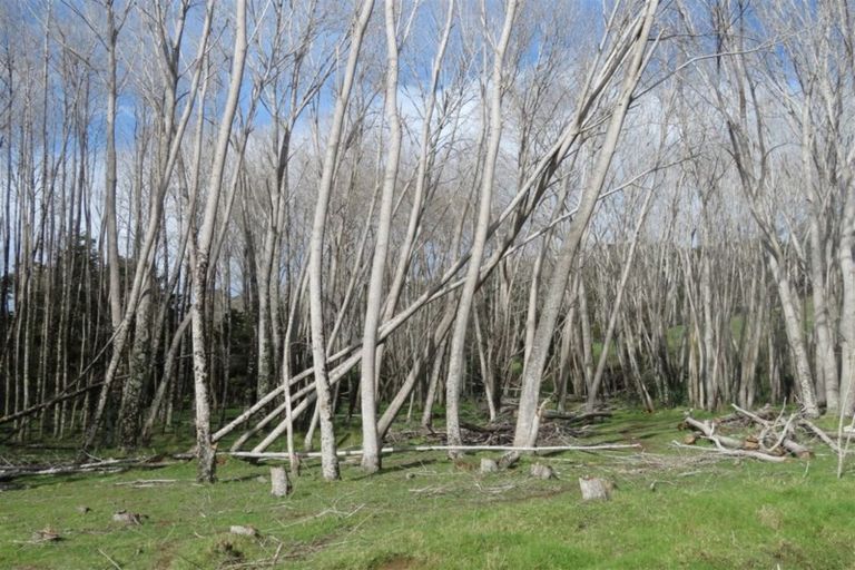 Photo of property in 84 Rigden Road, Opua, 0272