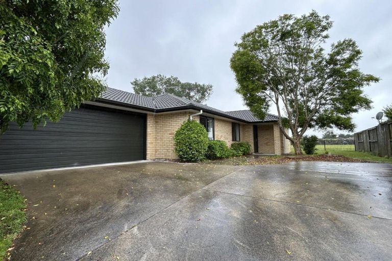 Photo of property in 53 Parkside Drive, Huntington, Hamilton, 3210