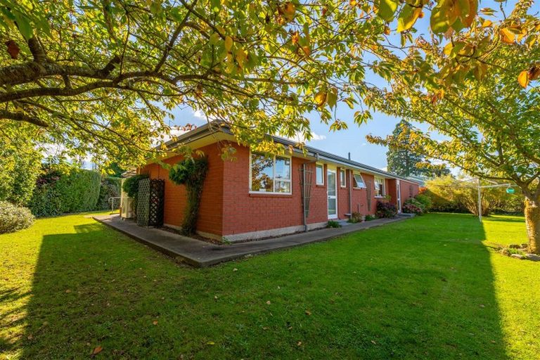 Photo of property in 45a Mckenzie Street, Geraldine, 7930