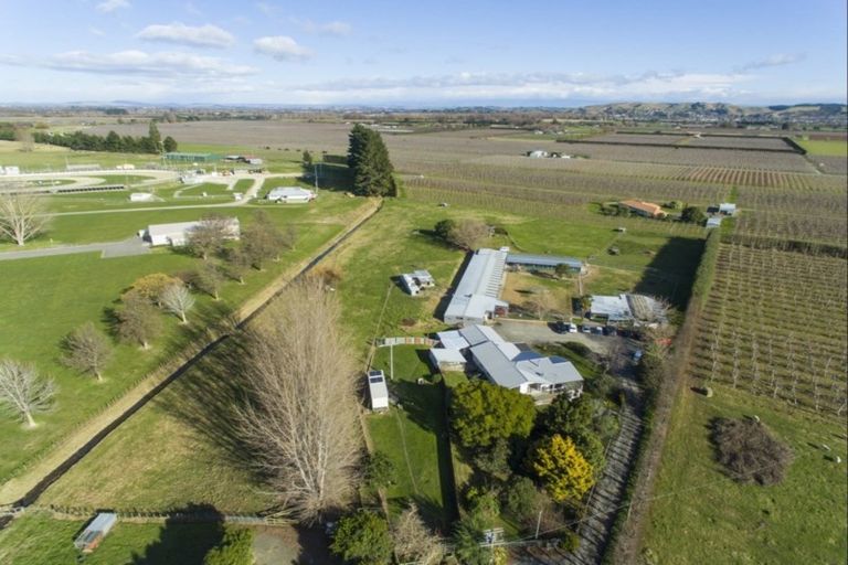Photo of property in 41 Gavin Black Street, Meeanee, Napier, 4112