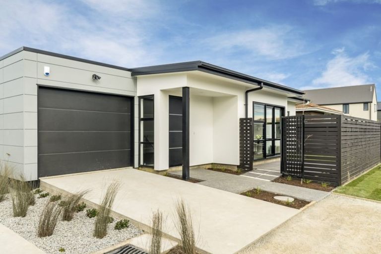 Photo of property in 1/68 Ward Street, Addington, Christchurch, 8024