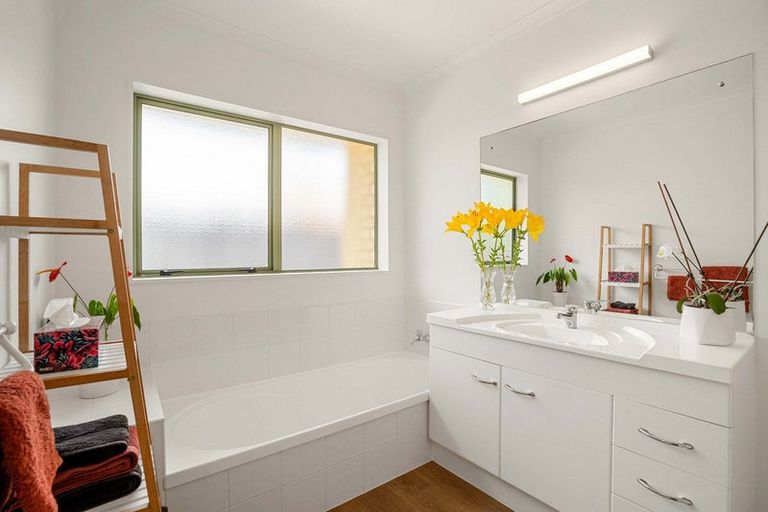 Photo of property in 20 Francevic Avenue, Mount Maunganui, 3116