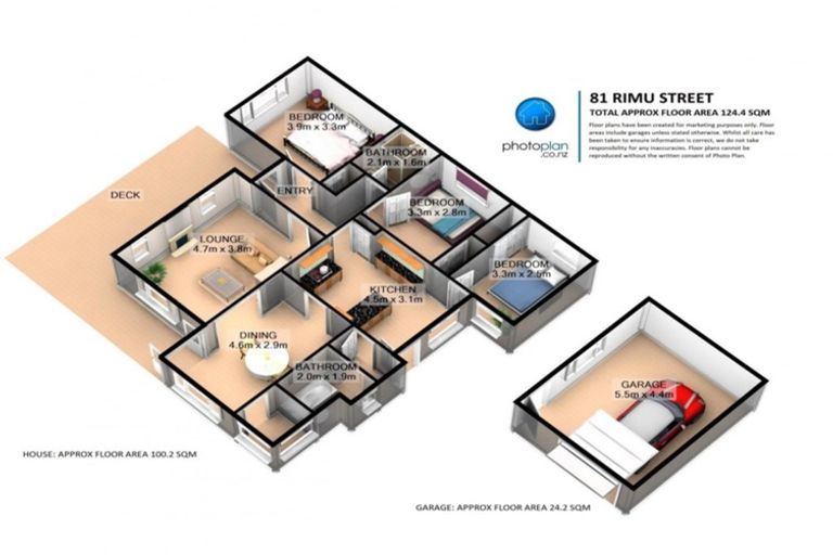 Photo of property in 81 Rimu Street, Maeroa, Hamilton, 3200