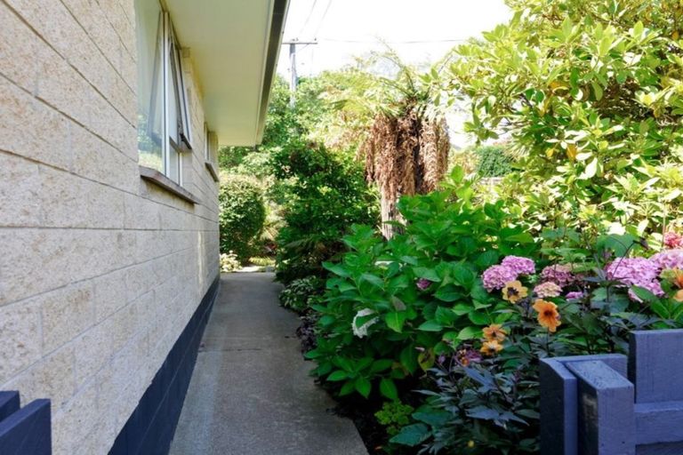 Photo of property in 62 Upper Ure Street, South Hill, Oamaru, 9400