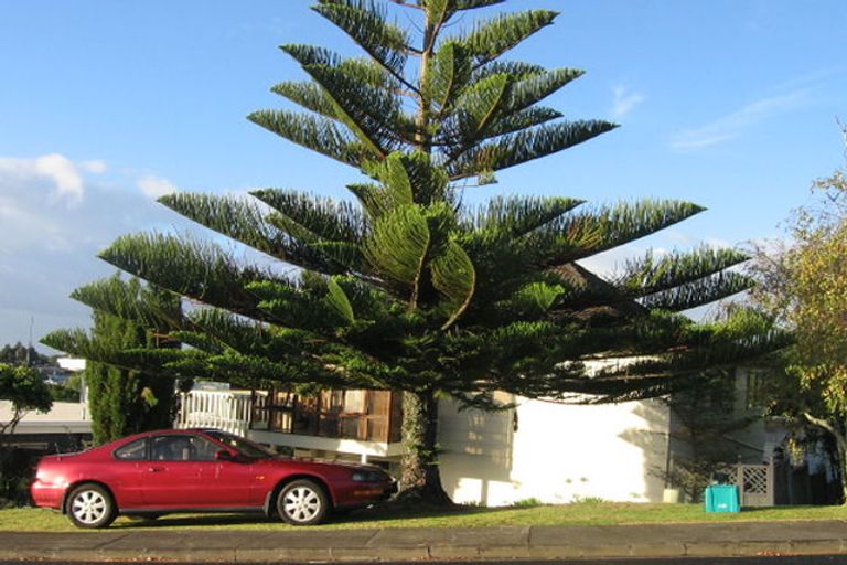 Photo of property in 1/43 Monarch Avenue, Hillcrest, Auckland, 0627