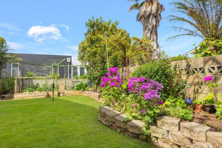 Photo of property in 8 Donny Avenue, Chartwell, Hamilton, 3210