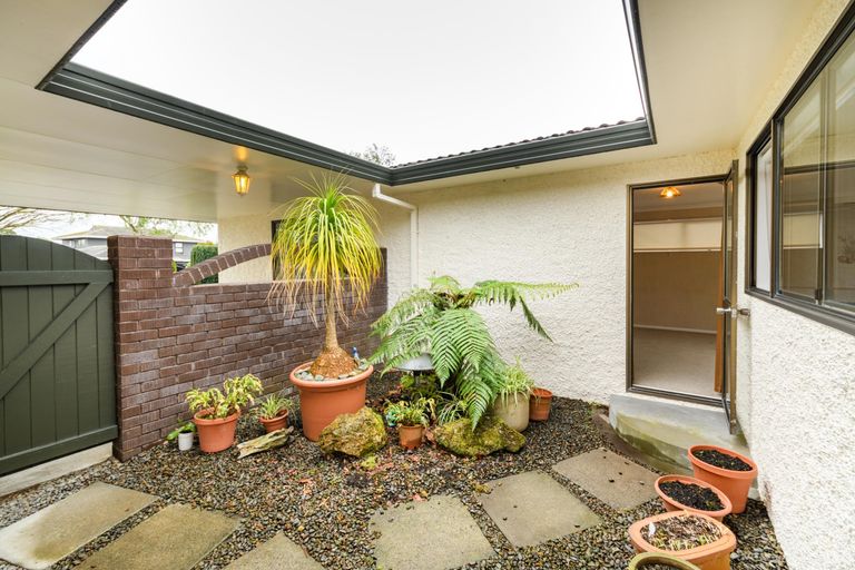 Photo of property in 41 Kentucky Way, Awapuni, Palmerston North, 4412