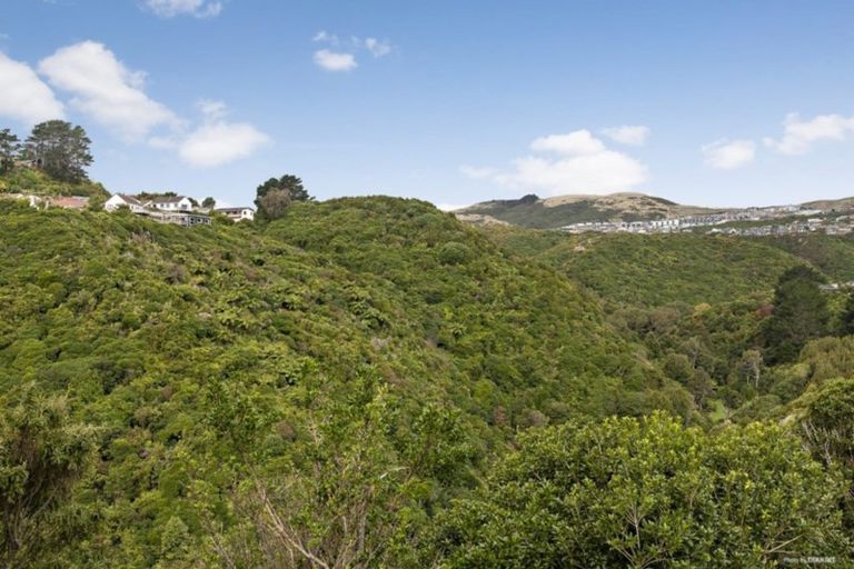 Photo of property in 32 Mark Avenue, Paparangi, Wellington, 6037