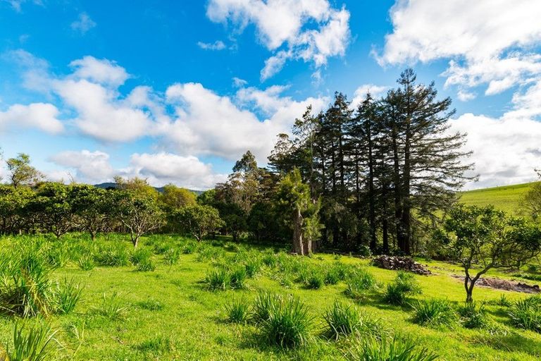 Photo of property in 325 Sandspit Road, Warkworth, 0982