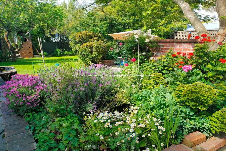 Photo of property in 43 Opawa Road, Waltham, Christchurch, 8023