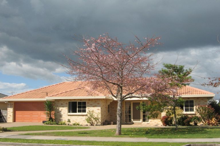 Photo of property in 2 Brodie Place, Bethlehem, Tauranga, 3110