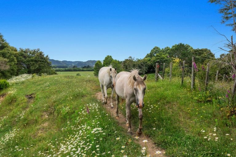 Photo of property in 132 Foster Road, Taneatua, Whakatane, 3191