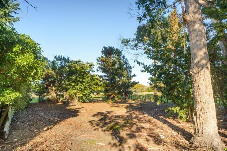 Photo of property in 576 Wellington Road, Marton, 4710