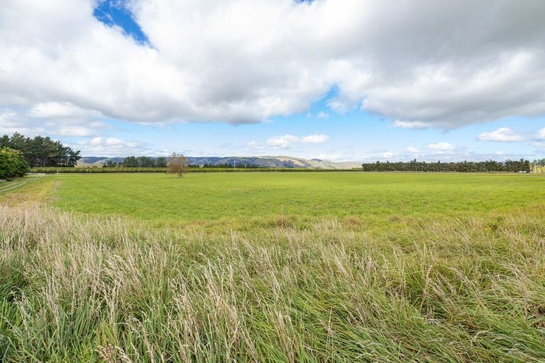 Photo of property in 40 Te Muna Road, Martinborough, 5784
