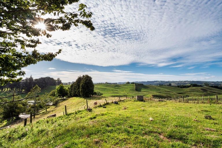 Photo of property in 73b Youngson Road, Whakamarama, Tauranga, 3180