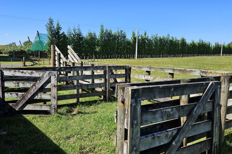 Photo of property in 298 Maungarangi Road, Paengaroa, Te Puke, 3189