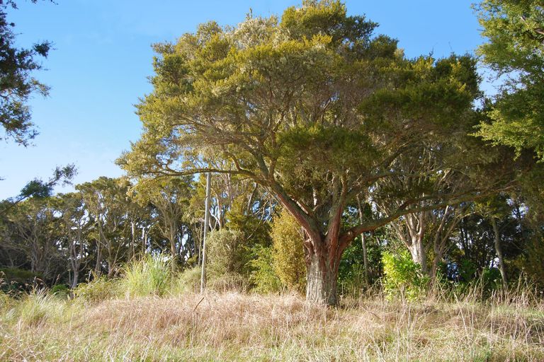 Photo of property in 542e Oneriri Road, Kaiwaka, 0573