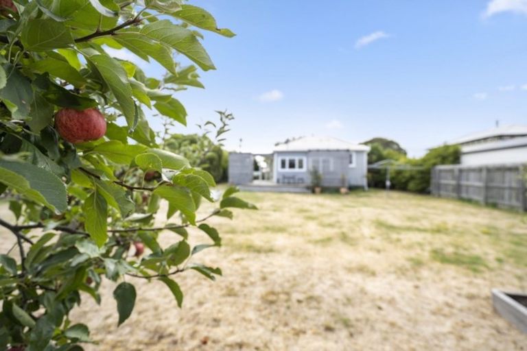 Photo of property in 6 Esther Street, Martinborough, 5711